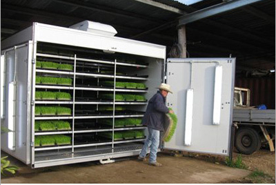 Hydroponic fodder machine