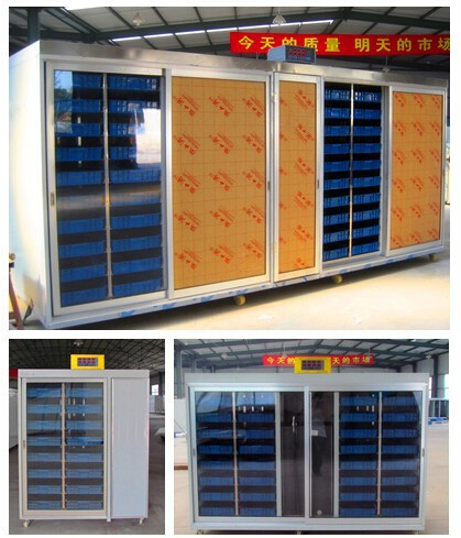 Bean Sprouting Machine