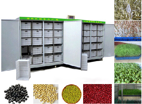 Bean Sprouting Machine