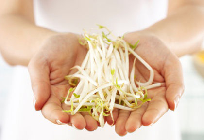 Bean Sprouting Machine